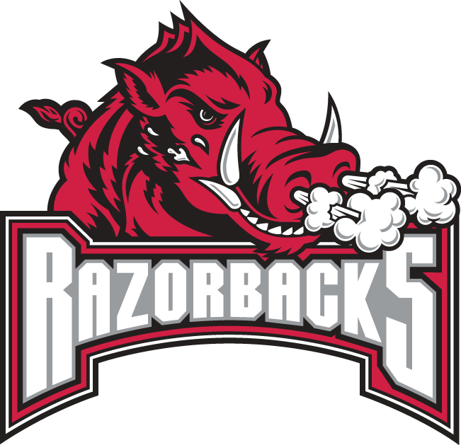 Arkansas Razorbacks 2001-2008 Secondary Logo v2 diy fabric transfer